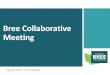 Bree Collaborative Meeting€¦ · of Health Presentation: Implementation Update Discussion: Topics for 2021 Action Item: Select 6-7 potential topics Final Adoption: Opioid Prescribing