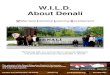 W.I.L.D. About Denali · local ecology and wilderness stewardship; camp activities centered around creating a supportive group dynamic and building new skills; and an exciting whitewater