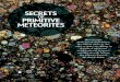 Secrets of Primitive Meteorites - DEEPS€¦ · meteorites. The tangibility that appeals to me is thus not just a matter of aesthetics—these meteorites are fossils from the birth
