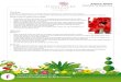 Amaryllis planting and care advice sheet · | 01202 427851 Kings Park Drive, Bournemouth BH7 6LR Planting Amaryllis or Hippeastrum is a tender bulb and needs to be planted in a 