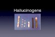 Hallucinogens - Riverside City Collegewebsites.rcc.edu/estrada/files/2019/07/Hallucinogens...• LSD -In addition to bad trips and flashbacks, LSD users may also develop relatively