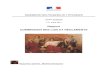 Rapport COMMISSION DES LOIS ET RÈGLEMENTS · 2016. 6. 3. · Rapport COMMISSION DES LOIS ET RÈGLEMENTS Rapporteur général : Martine Schoeppner. 2 Table des matières Page 