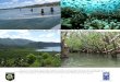 Evaluation des récifs coralliens et des mangroves...et des forêts de mangroves ralentit la montée des eaux et la force des vagues de 75%. Or les Comores sont entourées des récifs
