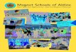Magnet Schools of Aldine - Aldine ISD – We Are Aldine · 2012. 11. 8. · the Magnet School Strands in Aldine iSD ... intermediate/Middle Schools Indicate by numbers 1, 2, and 3