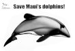 Save Maui's dolphins! NAB U International Foundation for Nature · 2018. 9. 6. · Save Maui's dolphins! NAB U International Foundation for Nature . Created Date: 8/11/2014 5:56:37