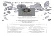 The Drifting Seed December 2002 - V. Dennis. He has been a contributor, without fail, to this newsletter