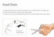 Food Chain - Studyladder · 2015. 9. 4. · Food Chain 1) Examine the chart on the next slide to see what Antarctic animals eat. 2) Print the Antarctic animals colouring page. 3)