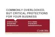 Commonly Overlooked, but Critical Protections …...2017/05/24  · COMMONLY OVERLOOKED, BUT CRITICAL PROTECTIONS FOR YOUR BUSINESS Jonathan D. Klein (215) 640-8535 jklein@clarkhill.com