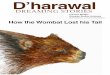 D’harawalHistorians and anthropologists have studied the Koori culture since they ﬁrst arrived on this continent, and have come to the conclusion that the D’harawal culture is
