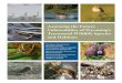 Assessing the Future Vulnerability of Wyoming's Terrestrial … · 2014. 7. 14. · 3 Assessing the future vulnerability of Wyoming’s terrestrial wildlife species and habitats ThIS