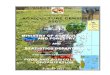 KINGDOM OF TONGA AGRICULTURE CENSUS 2001...The Prime Minister and Minister of Agriculture and Forestry, HRH Prince ‘Ulukalala Lavaka Ata and the Minister of Finance, Honourable Siosiua
