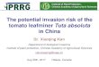 The potential invasion risk of the tomato leafminer Tuta ... · The potential invasion risk of the tomato leafminer Tuta absoluta in China Dr. Xiaoqing Xian Department of biological