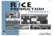 Guidelines Production 5 R ce 02 Production Guidelines.pdf · 2017. 4. 20. · 2005 Texas Rice Production Guidelines Revisions compiled and incorporated by M. O. Way, Associate Professor