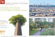 Post carbon cities in Europe. Big challenges - small steps ...polsca.pan.pl/ppt/121023/MBN.pdfNational and International Prizes for Sustainable Research and Design Student Competitions
