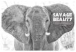 savage beauty - A2A Safaris · 2016. 10. 20. · 318 philippine tatler . september 2016 philippine tatler . september 2016 319 Personal thanks to Binky and Trace Dizon of A2A Safaris