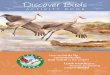 Discover Birds - tn.gov...birds, feeding them, writing about them, and expressing their love for them in poetry, song and art. Many people travel around the world to see birds. The