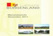 Monatsbericht Dezember 2011 - Burgenland · PDF file 2014. 2. 3. · Monatsbericht Dezember 2011 1 Monatsbericht Dezember 2011 der an den Luftgütemessstellen des Burgenländischen