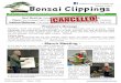Bonsai Clippings Volume VI No 3 Mother Lode Bonsai Club ...motherlodebonsaimain.homestead.com/MLBC_2020-03.pdf · - Restyling An Old Bonsai - The old juniper before restyling Miranda