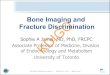 Fracture Discrimination KDIGO...2017/02/03  · CKD-MBD Controversies Conference | October 25-27, 2013 | Madrid, Spain 1.250g/cm2 Normal Bone mass Normal bone Normal Mineralisation