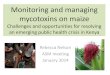 Monitoring and managing mycotoxins on maize · Less care taken with maize for sale Post-harvest: people take more care with maize they will eat •100 people surveyed; 38% sold maize
