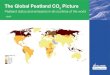 The Global Peatland CO2 Picture · 2020. 3. 17. · management for climate change mitigation is indeed global and not limited ... accumulating or peat soil containing ecosystems are