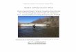 State of Vermont Plan - Welcome to DEC · 2020. 2. 4. · VERMONT AGENCY OF NATURAL RESOURCES . Prepared for the Vermont General Assembly in Accordance with No. 21 of the Acts and