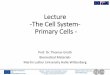 Lecture -The Cell System- Primary Cells€¦ · Lecture -The Cell System-Primary Cells - Prof. Dr. Thomas Groth Biomedical Materials ... typical cell morphology Expression of cell-typical