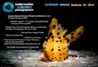 UWMP eNews issue 18 - 2014 - UnderWater Macro Photographers · Adriano Morettin (Italy) Title : Fingerprint shrimp Critters name : Coralliocaris sandyi Location taken : Lembeh, Indonesia