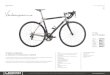 Ti Crbn - Legend by Bertoletti | Telai per bici da corsa personalizzate · 2017. 12. 4. · Carbonio 3K TW custom made (opzione carbonio 1k), congiunzioni e carro in titanio grado