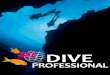DIVE - Cylex · 2015. 7. 7. · Specialty Instructor, Advanced Open Water Instructor, Dive Control Specialist Instructor, Dive Professional Upgrade programs and assist Instructor