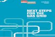 NEXT STEPS FOR THE GAS GRID - Policy Connect · Introduction 11 Part 1 – An introduction to the Future Gas Series 12 1. Natural gas, heat and decarbonisation 13 1.1 An ... Callum
