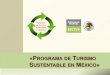 «Programa de Turismo Sustentable en México»sectur.gob.mx/PDF/planeacion_estrategica/PTSM.pdfEl Programa de Turismo Sustentable en México está enmarcado por tres grandes estrategias,