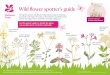 Wild flower spotter’s guide · 2020. 9. 7. · Wild flower spotter’s guide During the summer wild flowers bring vibrant colour to meadows, grasslands and verges. Not only are