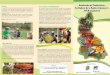 Asociación de Productores HUALGAYOC - BAMBAMARCA Ecológicos de la Región Cajamarca ... · PDF file 2017. 2. 19. · presidente el Sr. Mario Tapia Guevara, direcvo de la APER Cajamarca