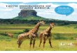10D7N HIGHLIGHTS OF SOUTH AFRICA - WTS TravelTown or encountering Africa’s “big five” on a game drive, South Africa will take you on a journey that you soon won’t forget! Travel