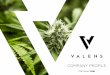 COMPANY PROFILE...A multi-licensed, vertically integrated provider of cannabis products and services with a focus on proprietary extraction processes. We bring pure, high quality cannabis