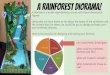 A rainforest diorama!...A rainforest diorama! A diorama is a model representing a scene with three-dimensional ﬁgures. Using what you have learnt so far about the layers of the rainforest