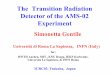 The Transition Radiation Detector of the AMS-02 Experiment · 2003. 9. 19. · The Transition Radiation Detector of the AMS-02 Experiment Simonetta Gentile Università di Roma La