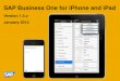 SAP Business One for iPhone and iPad · SAP Business One for iPhone and iPad should cover all basic customer needs, including business processes, reporting and generic extensibility