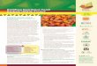 Building Nutritious Food od Baskets (BNFB) Projectnkxms1019hx1xmtstxk3k9sko-wpengine.netdna-ssl.com/wp...2016/08/01  · to ensure wide access and utilization of biofortified crops