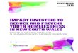IMPACT INVESTING TO REDUCE AND PREVENT YOUTH HOMELESSNESS …€¦ · homelessness drastically increases the risk of chronic homelessness in adulthood. Social impact investment models
