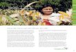 Rosalie Ellasus Nông dân San Jacinto, Phi-líp-pincroplifevietnam.org/.../06/25-Philippines-Ellasus-VN.pdf · 2016. 7. 8. · Nông dân trồng ngô biến ˛ổi gen tiêu biểu