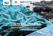 New THE CORAL TRIANGLE AND CLIMATE CHANGE · 2009. 5. 8. · Triangle. Rapid changes in the Earth’s climate are now also beginning to affect the terrestrial and marine ecosystems