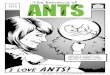 I LOVE ANTS! - Miller Institute Ants always seemed to have a plan. Sometimes she would do experiments, like dropping a crumb to see how long it took them to find it, how many ants