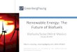 Renewable Energy: The Future of Biofuels ... Renewable Energy: The Future of Biofuels Biofuels/Solar/Wind