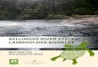 BELLINGER RIvER systEm LANDHOLDER BOOKLEt · 2016. 9. 27. · Biodiversity, as in all areas in nature, is vital to river health. Loss of riparian vegetation and hence loss of shade,