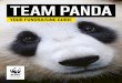 TEAM PANDA · 2020. 2. 24. · Team Panda cyclist ‘Team Panda has really helped keep my motivation and enthusiasm up high.’ Marine D. Team Panda runner GET INSPIRED ‘Thanks