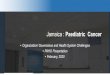 Jamaica : Paediatric Cancer PAHO... · Jamaica : Paediatric Cancer 1 •Organization/ Governance and Health System Challenges •PAHO Presentation •February, 2020