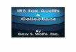 IRS Tax Audits Collections Gary S. Wolfe, Esq. Tax Audits... · 2020. 2. 4. · Chapter 15 - IRS Form W-9 Chapter 16 – Summary of HIRE and Foreign Account Tax Compliance ACT Chapter