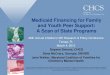 Medicaid Financing for Family and Youth Peer Support: A Scan of …cmhtampaconference.com/files/2013/cmh2013-1a.pdf · 2014. 11. 1. · Medicaid Financing for Family and Youth Peer